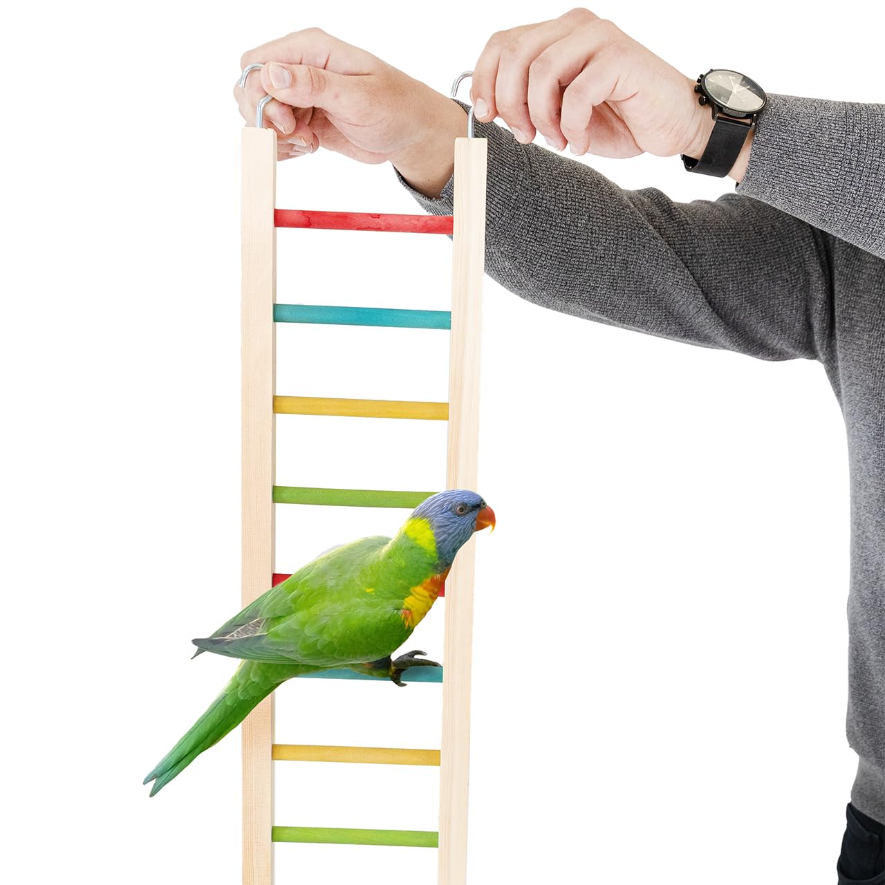 HappyBird | Holzleiter für Papageien - 120 cm | XXL Kletterleiter, Vogelleiter
