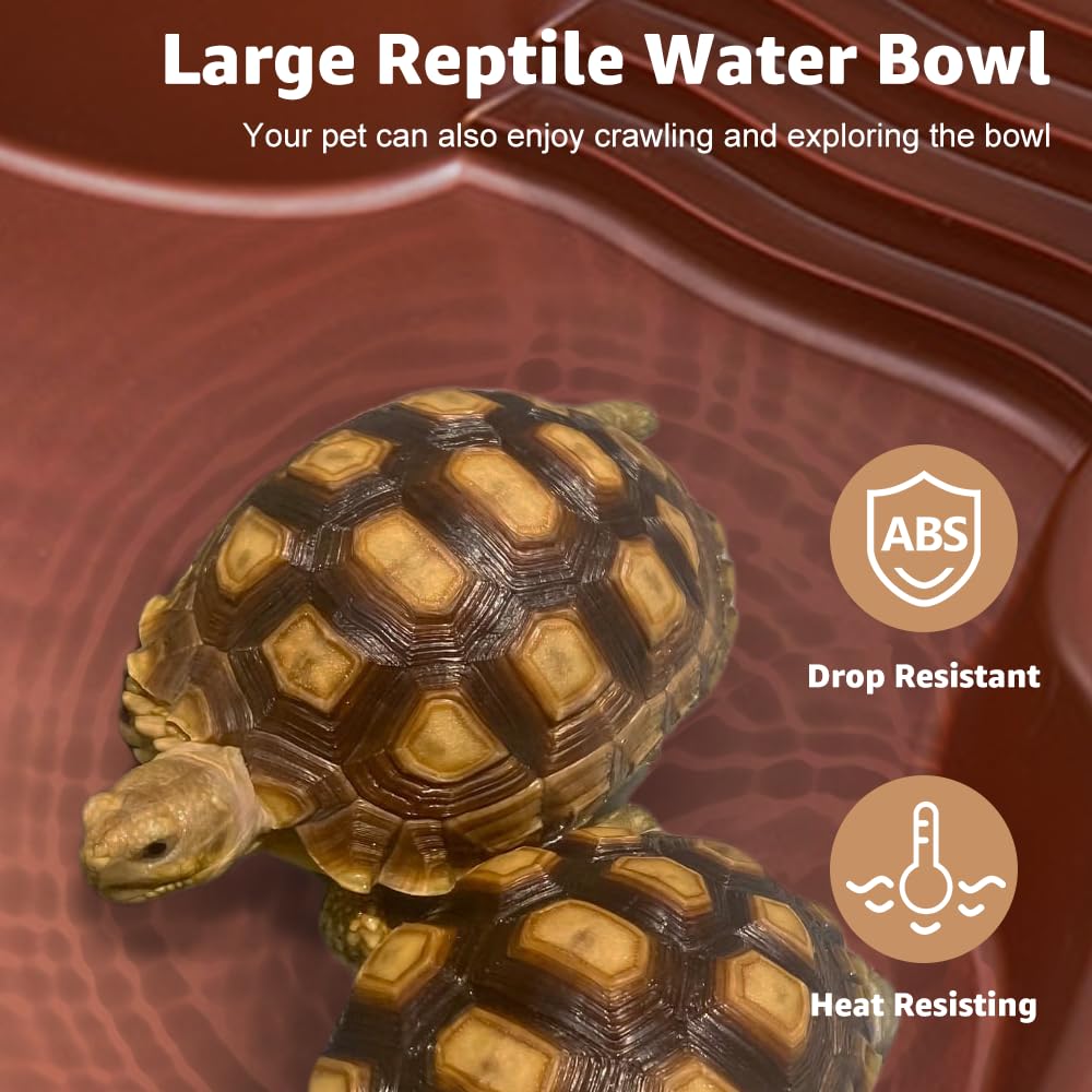 Reptilien Wasserschale Mit Rampe - Schildkrötenbecken 31x25cm Rutschfest