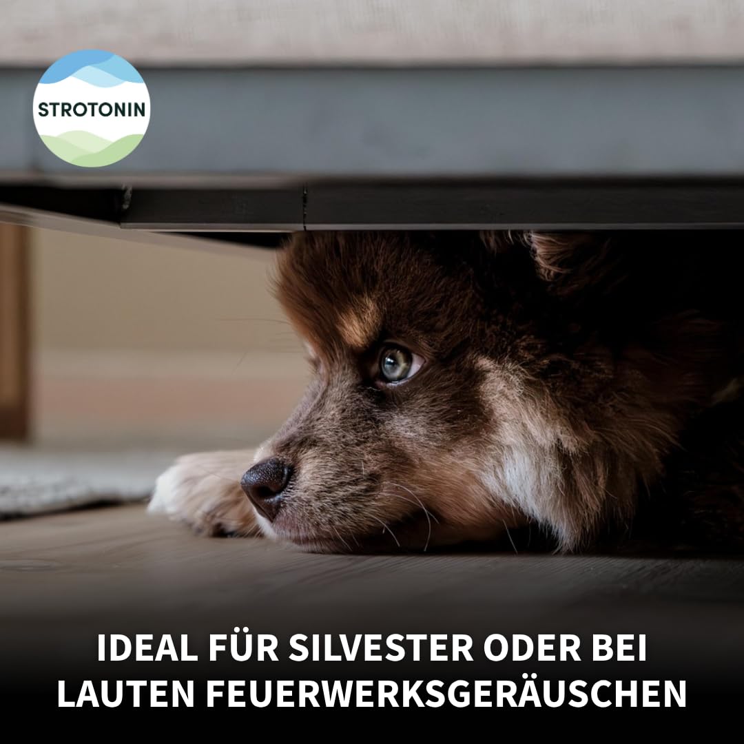 Dog Support para el estrés, la ansiedad y la inquietud (80 dosis individuales)
