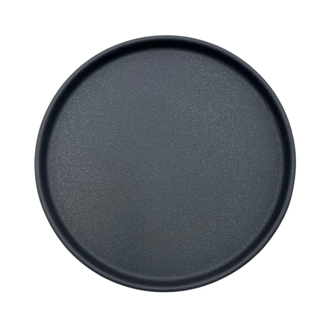 Mino Ware Flat Plate 9.25in Crystal Matte Black Pasta Cafe Plate Japan