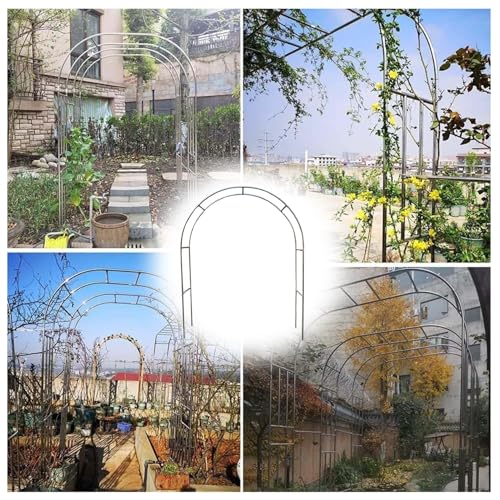 Arche de mariage en métal pour sublimer vos cérémonies en plein air et vos parterres de roses