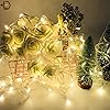 Gesto 20 Meter Led Serial String Lights – AC Plug Waterproof Copper Wire Yellow Fairy Light for Home Decoration,Christmas,Garden, Deepawali & Diwali Decoration Lights for Balcony Outdoor- Warm White #1