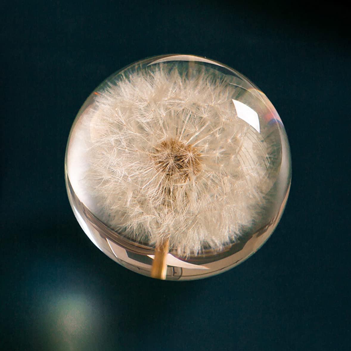 Kristallkugel, Pusteblumen-Briefbeschwerer, Traumball, einzigartiger Briefbeschwerer aus Kunstharz, Geschenke für Kinder und Freunde, Pusteblumen-Briefbeschwerer, Kugel, Glas, Briefbeschwerer, Kristal