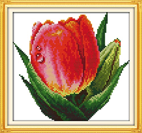 Broderie diamant 5D tulipes rouges, cadeau d'anniversaire créatif et original