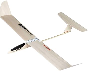 ラジコン飛行機（超珍品） 先尾翼ロケットグライダー ラジコン飛行機（超珍品） 先尾翼ロケットグライダー Amazon