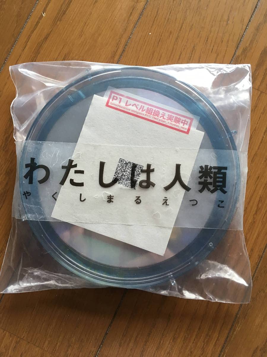 Amazon.co.jp: やくしまるえつこわたしは人類 美品相対性理論 : おもちゃ