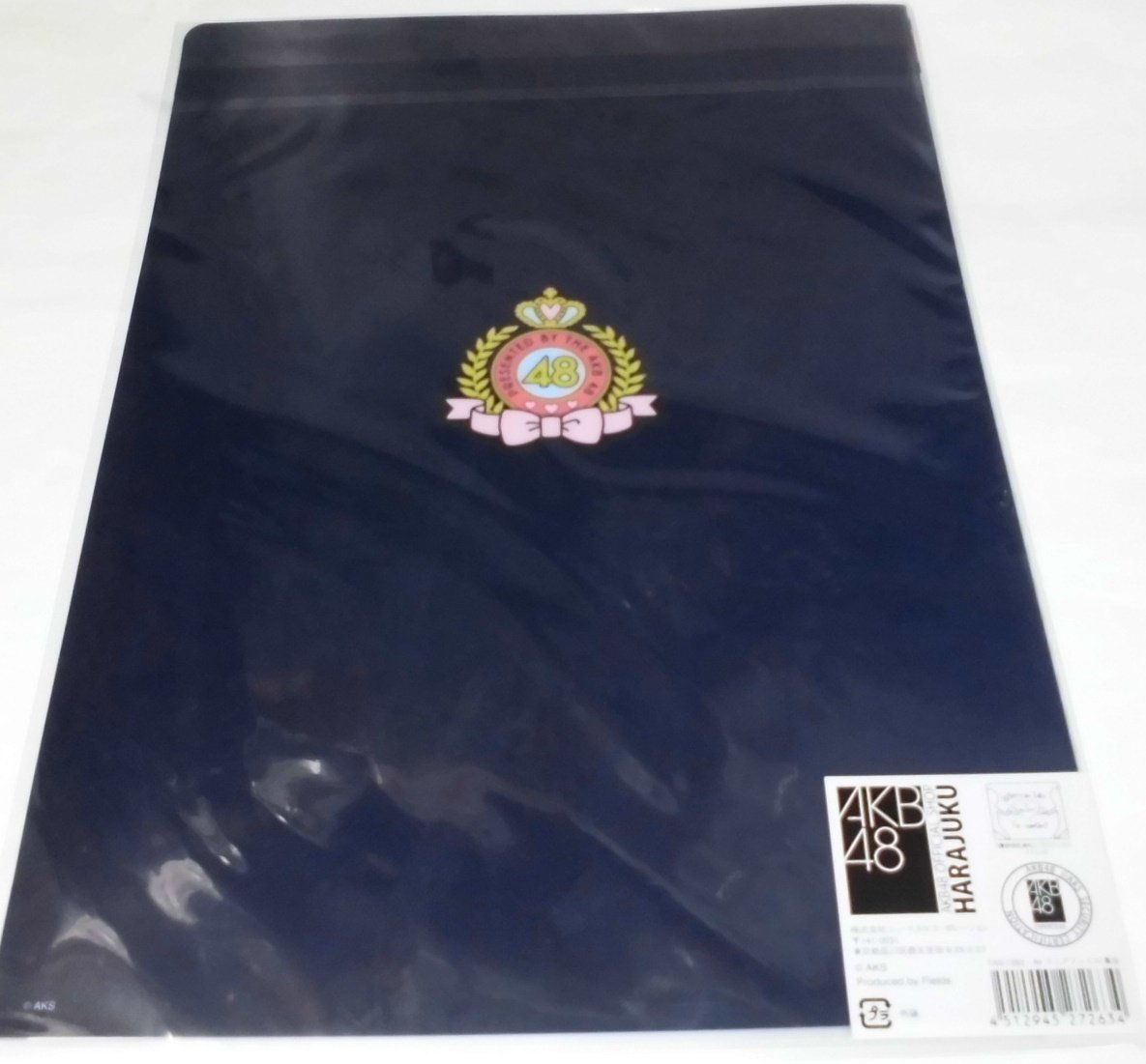 Amazon.co.jp: AKB48 OFFICIAL SHOP クリアファイル 集合 A4サイズ FAS