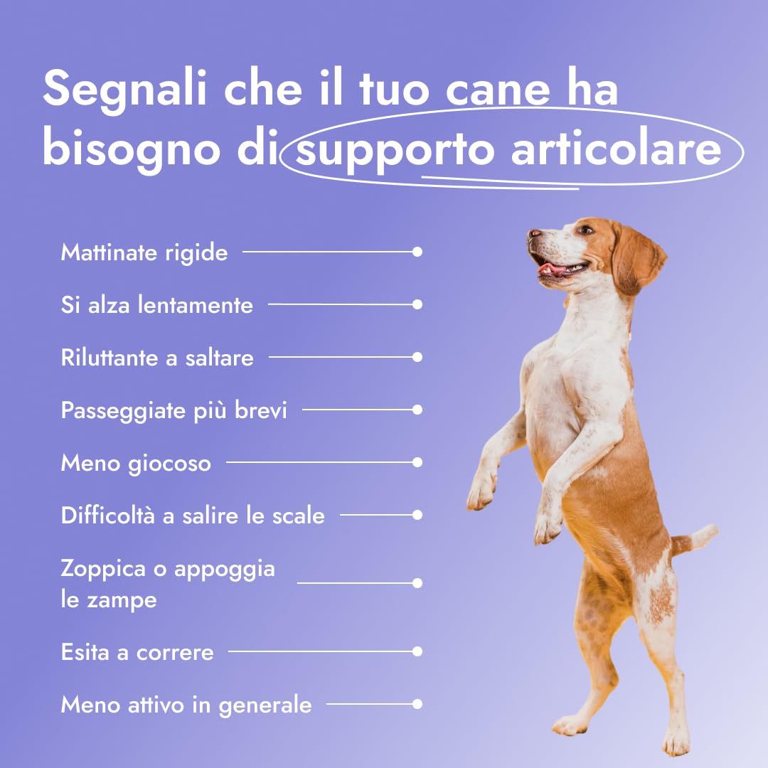 Joint Saver®: collagene idrolizzato, glucosamina, Artiglio del Diavolo, cozza Verde & Rosa Canina – sostiene Anche e articolazioni, Mobilità e ha Effetto antinfiammatorio Naturale (3X 150 g)