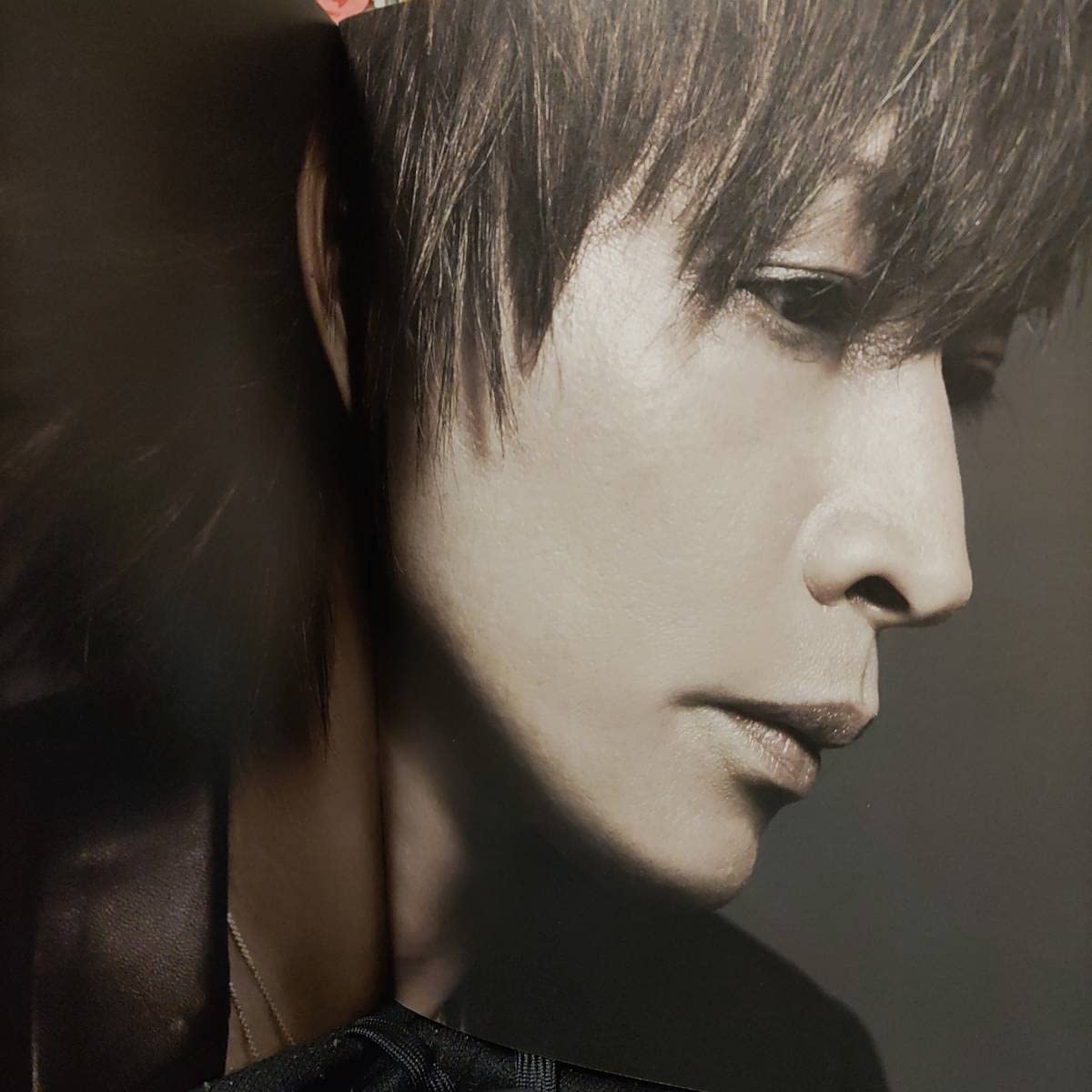 INORAN パンフレット まとめ売り Amazon.co.jp: INORAN TOUR 2016-Thank you‐ 写真集 パンフレット LUNA