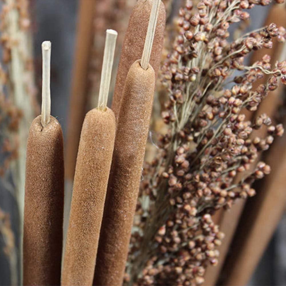 40 Pcs Dried Natural Cattails Jumbo Dried Flowers for Floral Arrangement Wedding Home Decoration