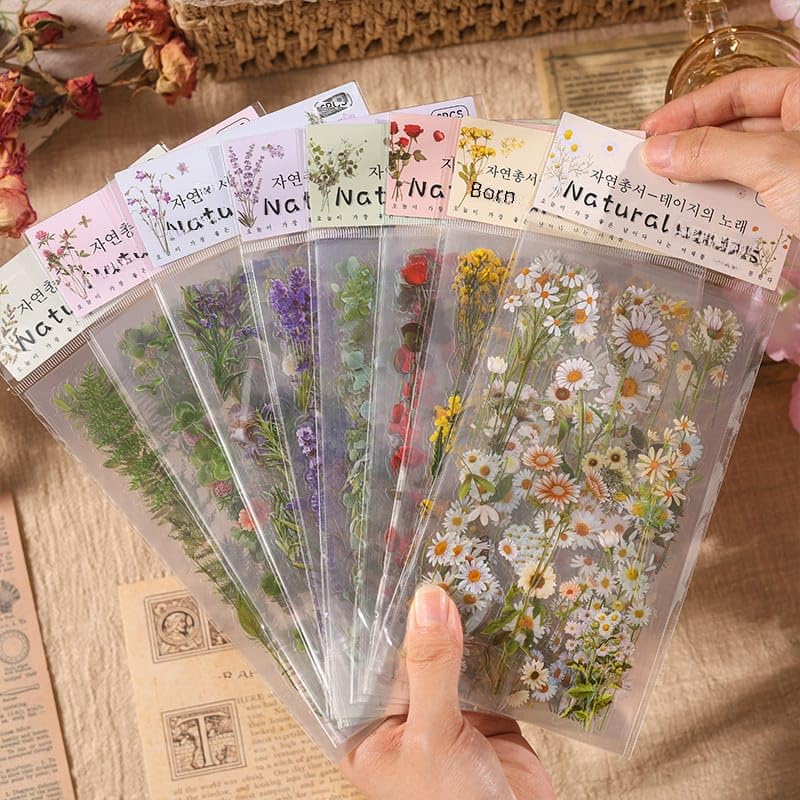 Image of NVF Store Natural Pressed Dried Flowers Set for Resin Art, Scrapbooking, Nail Art, Phone Case Decoration, DIY Crafts, Epoxy Jewelry Making & Greeting Cards - Real Botanical Flower Stickers