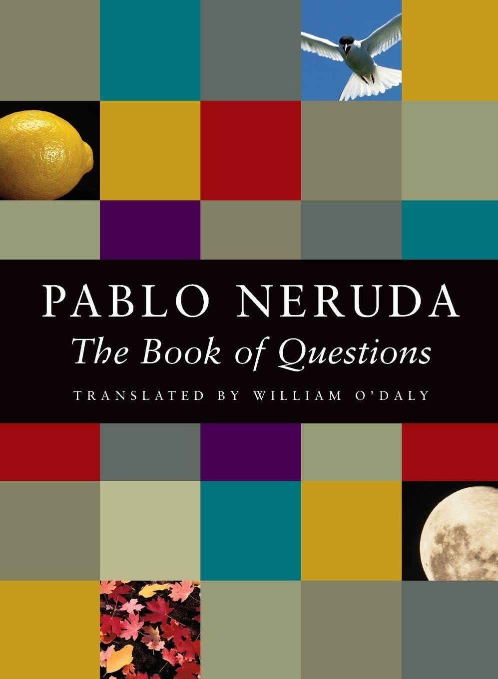 The Book of Questions by Pablo Neruda, William O'Daly - 9781556591600