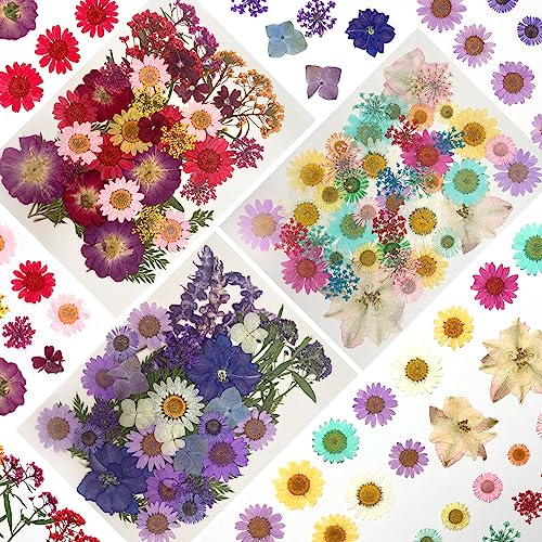 La mejor selección de Hojas secas - los preferidos. 44 SCHIB - 105 Piezas Artificial Prensado Flores Secas Resina,Flores Secas DIY para Resina Epoxi Manualidades, Joyas, Pintura Foto Decoración,Colgantes De Uñas, Jabón y Velas,...