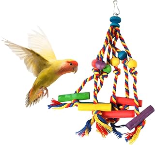 Budgie Toys,Bird Foraging Toy in Natural Safer Material,Parrots Chewing Hanging Foraging Toy,Bird Beak Grinding (B style)