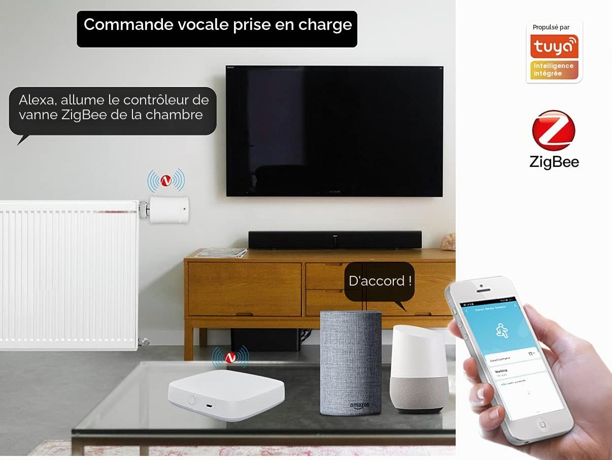 ZigBee 3.0 Gateway Wireless, WiFi ZigBee Hub Bridge, APP Tuya Smart Life, connecte jusqu'à 30 appareils ZigBee