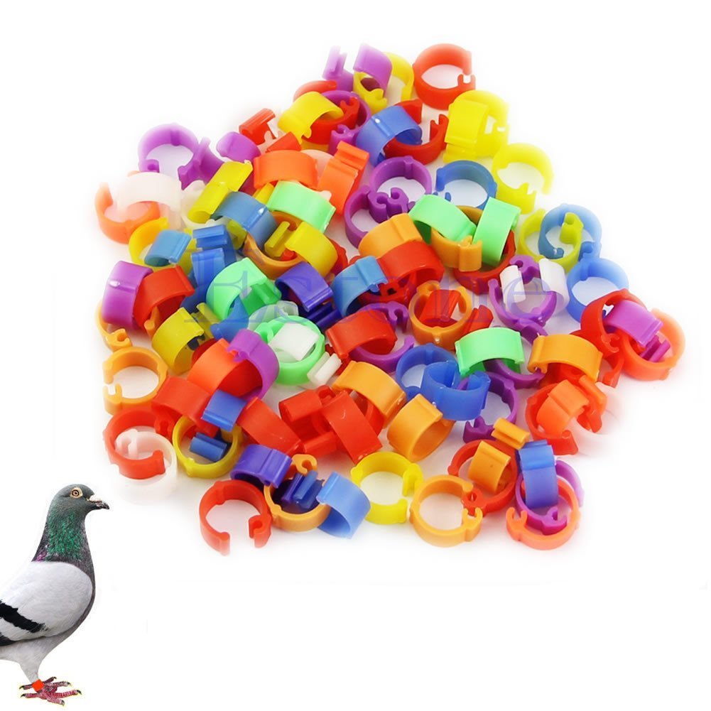 100 Pcs Bagues/Anneaux de Pied pour Oiseaux/Pigeon Pignon Anneaux d'Identification A Pieds pour Oiseaux, Couleur Aleatoire (Plastique)