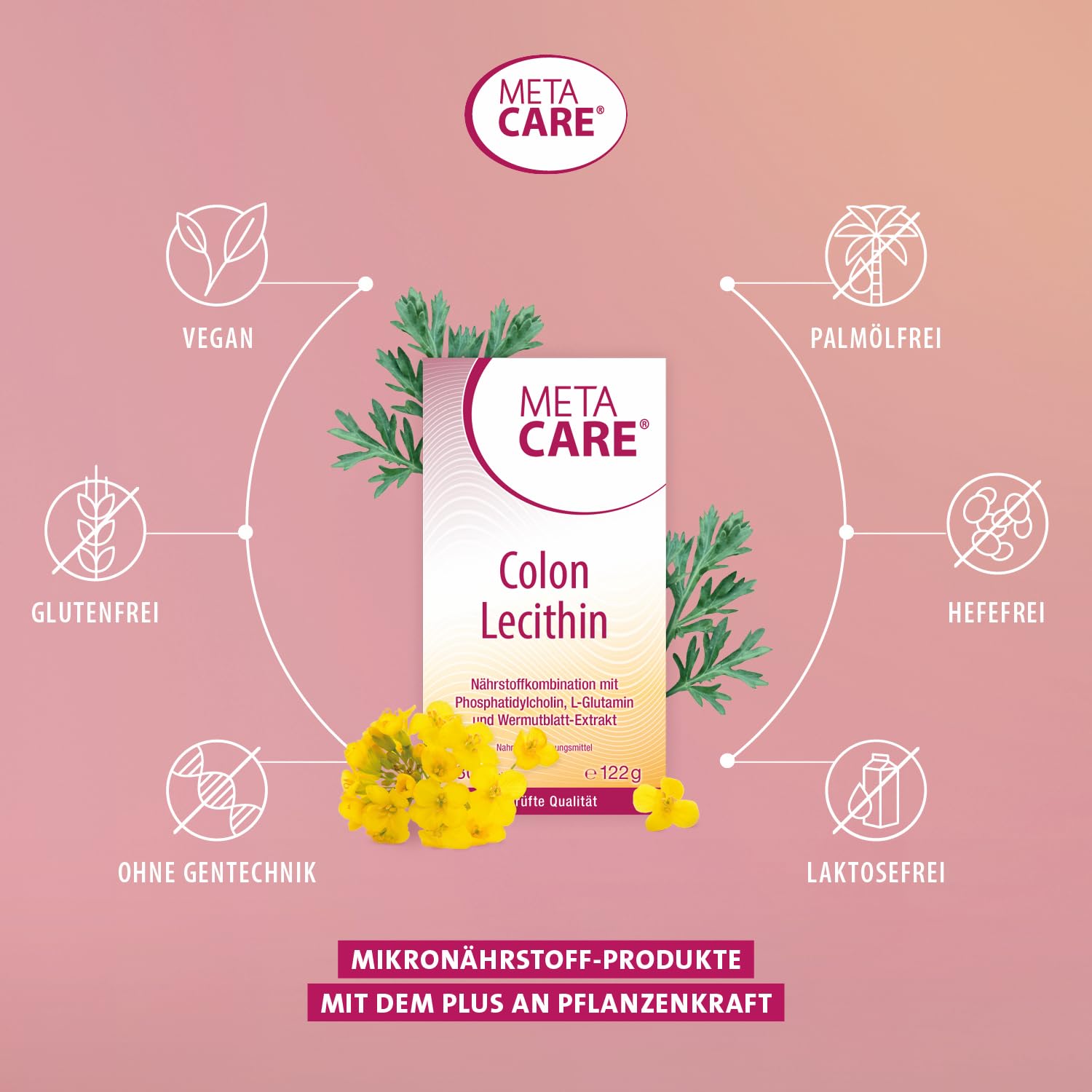 Colon Lecithin – Hochwertiges Phosphatidylcholin – L-Glutamin – Pflanzlich ergänzt durch Wermutblatt-Extrakt – Hochdosiert – Vegan – 180 Kapseln