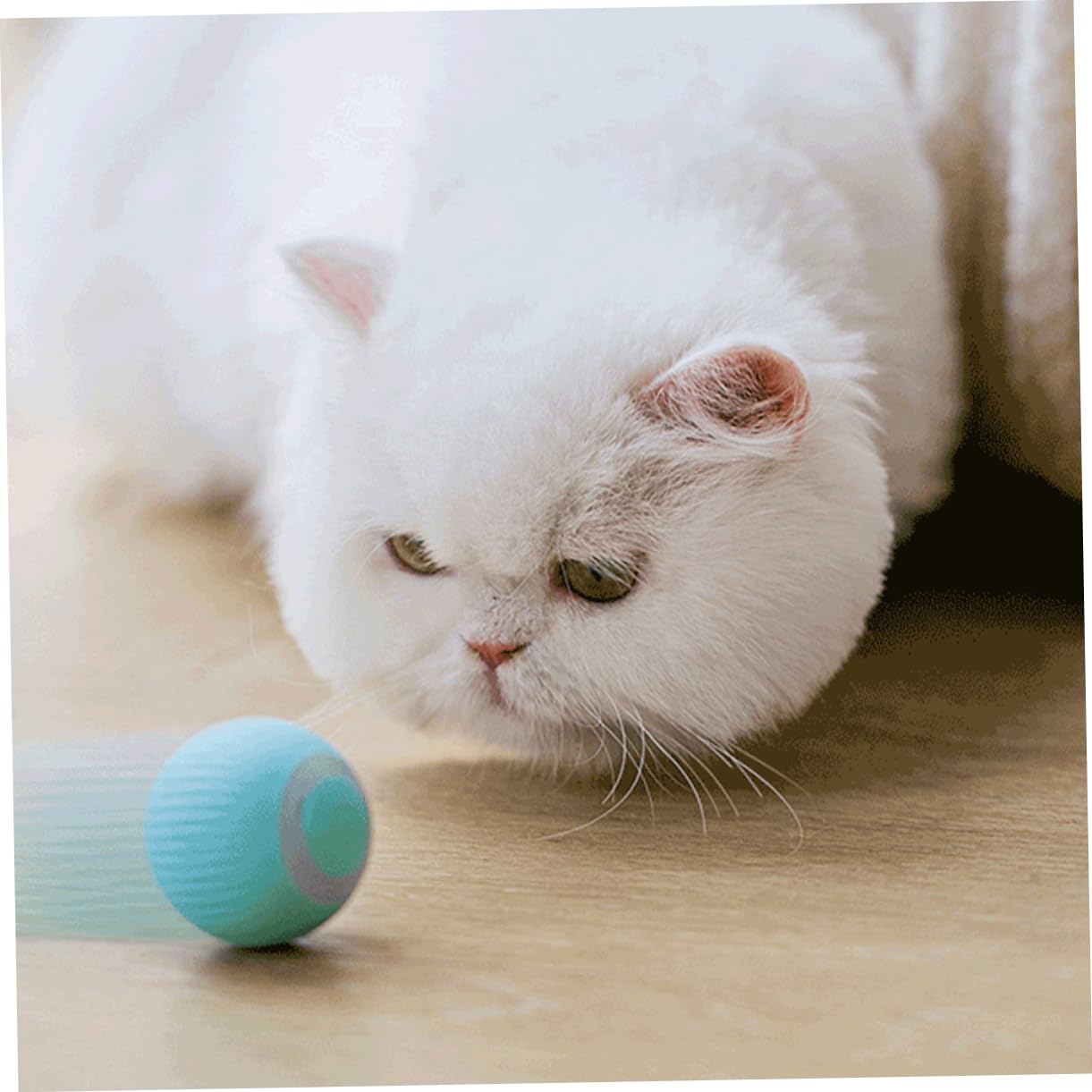 Kisangel 4pièces Boule Électrique Intelligente pour Chats Jouet Autonome Catnip Et Rechargeable pour Amusement Intérieur des Chats