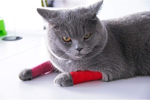 Miniatura 7 de AUPCON Vet Wrap - Vendajes cohesivos a granel, vendaje autoadhesivo no tejido para perros, mascotas, animales y esguinces de tobillo e hinchazón de