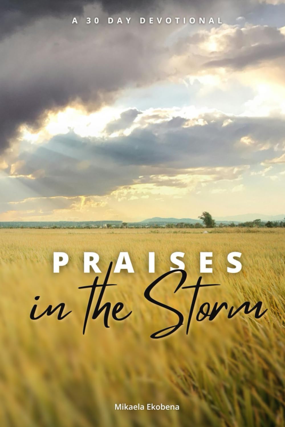 Praises in the Storm: A 30 Day Devotional