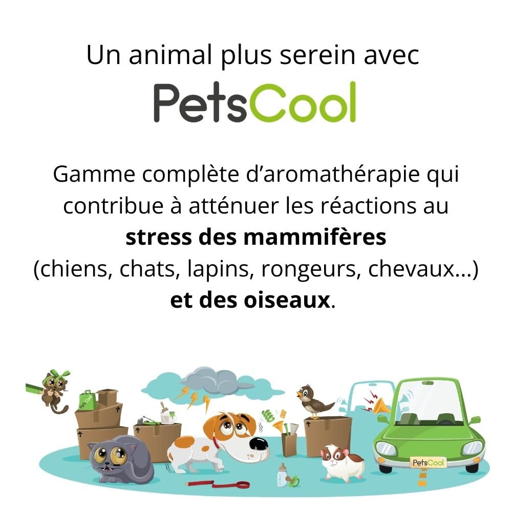 Anidev PetsCool Spray apaisant 15 ML - Anti Stress Chien Chat et NAC - Huiles essentielles valériane vétiver Sauge Basilic - Action Rapide par Inhalation - Multi espèces