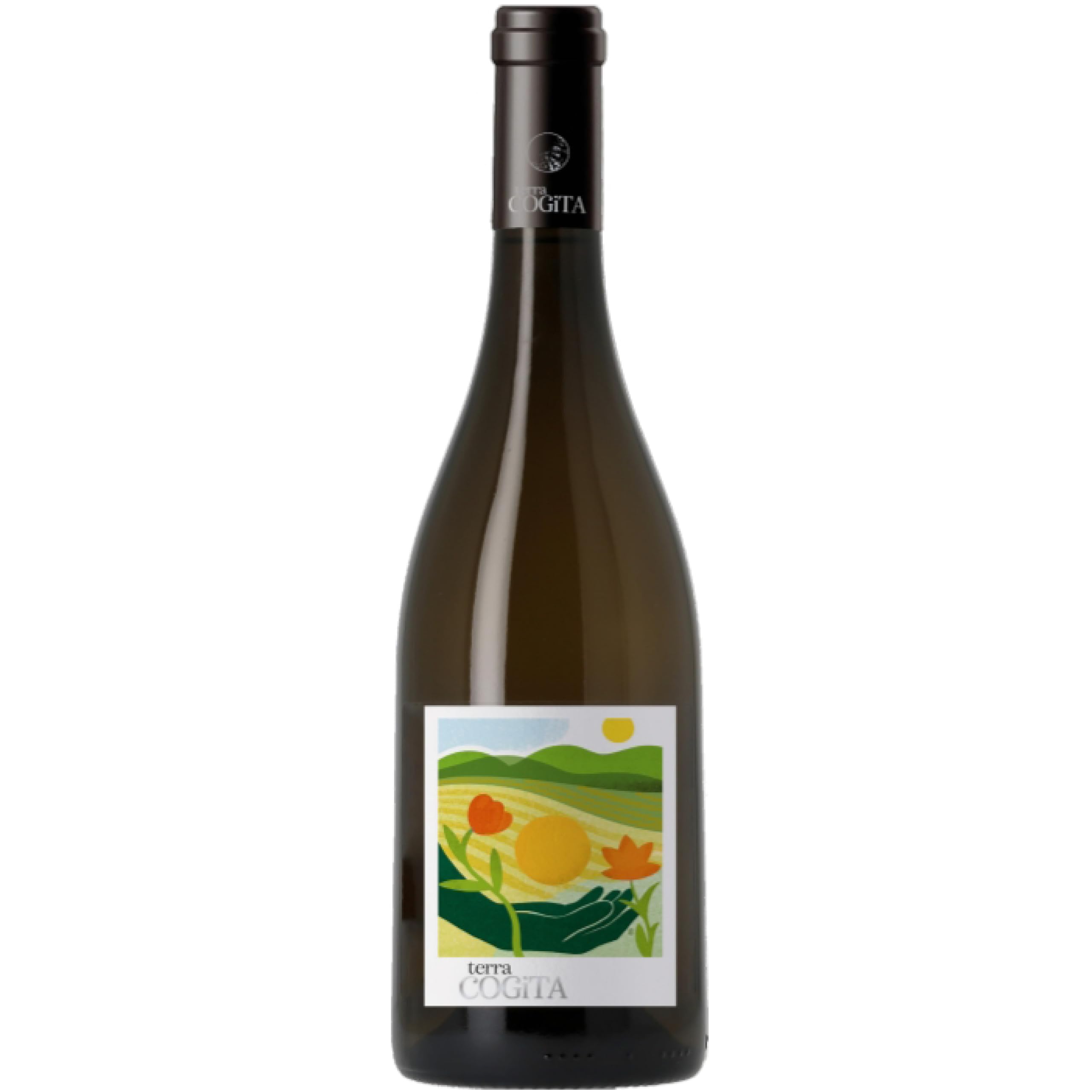 Les Domaines Robert Vic Terra Cogita Soreli White Wine, Vin de France Languedoc, 75cl – Pear & White-Flower Aromas, Smooth, Fresh & Balanced – Serve Chilled with Fish