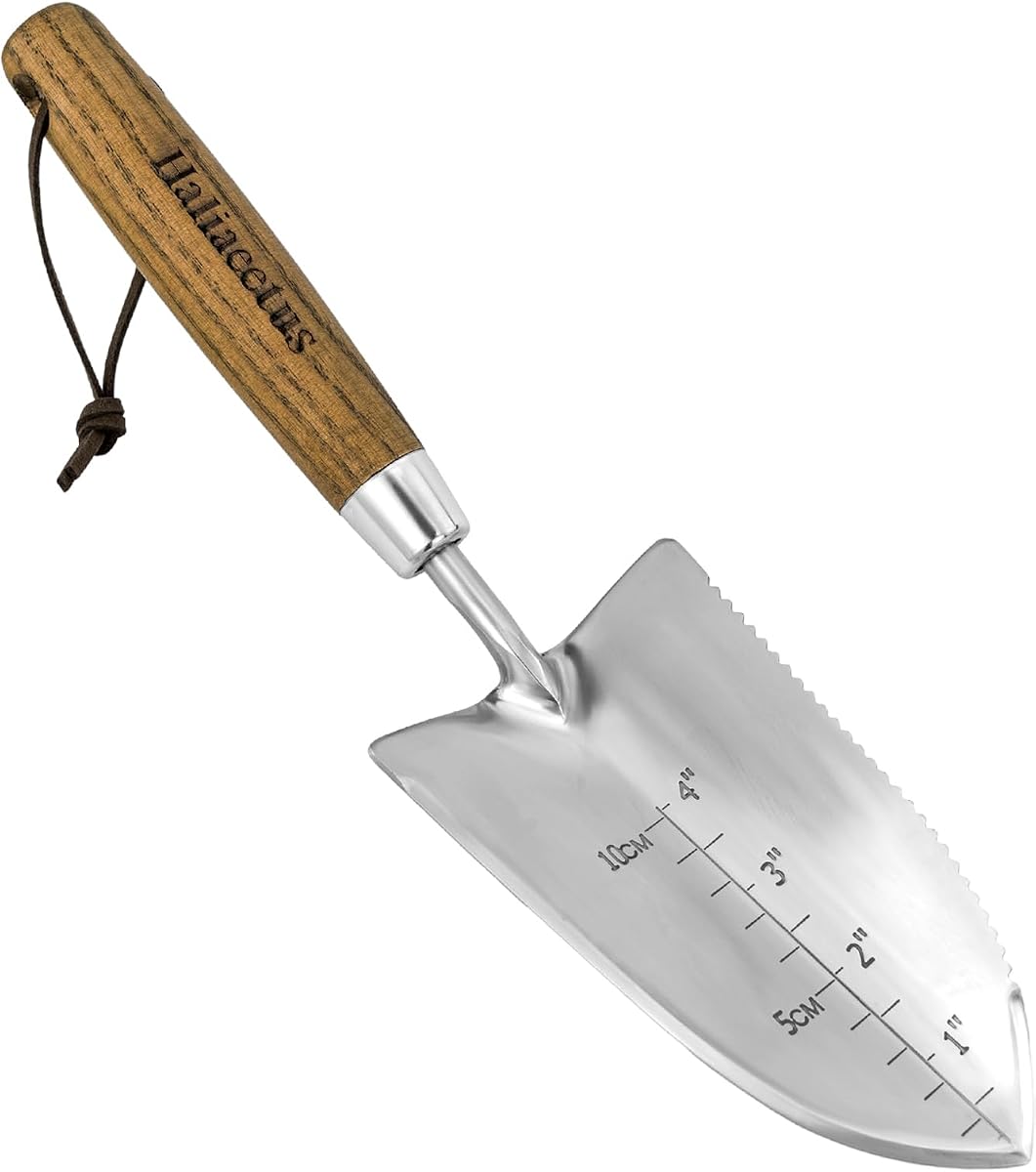 Paleta de jardín Haliaeetus con borde dentado, pala de plantación con marca de profundidad de 4 pulgadas | Pala de jardín con borde afilado en forma de V, pala de mano de acero inoxidable con cómodo mango de madera para plantar y desmalezar