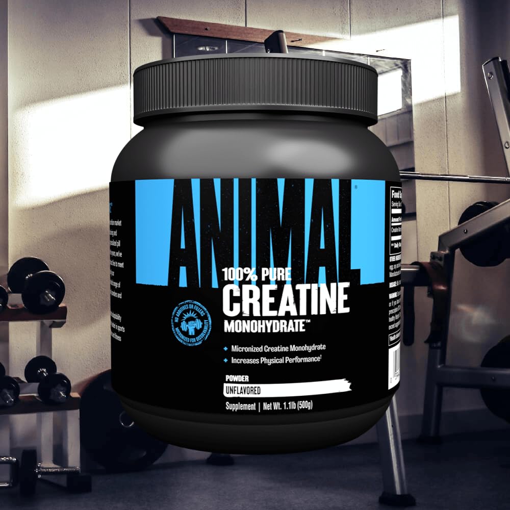ANIMAL Pure Creatine Monohydrate – creatina monoidrato pura e micronizzata in polvere – 5 g di creatina per porzione – facilmente assorbibile e insapore – 500 g