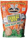 Antler King Cereal Rye Food Plot Seed | 1 lb Bag of Cereal Rye for Deer Food Plots | Use as Stand Alone Food Plot Seed or Mix with Turnip, Radish or Other Brassica | Plants 1/70 Acre