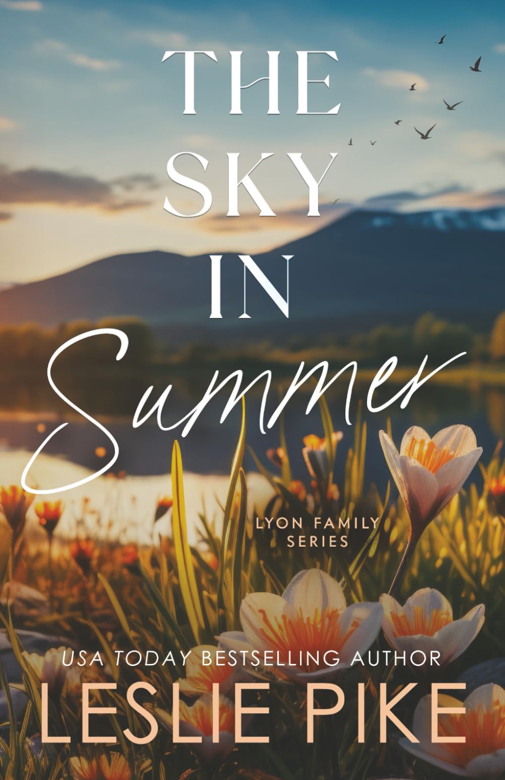 The Sky In Summer: Alternate Cover Edition