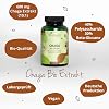 Organic Chaga Mushroom Capsules High Dose: 6000 mg from Extract (10: 1) 40% Polysaccharides - 30% Beta Glucans Laboratory Tested Vegan - No Additives German Production Vegavero
