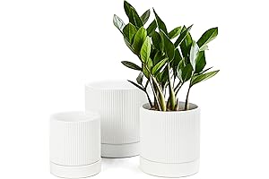 LaDoVita Modern Ceramic Plant Pots