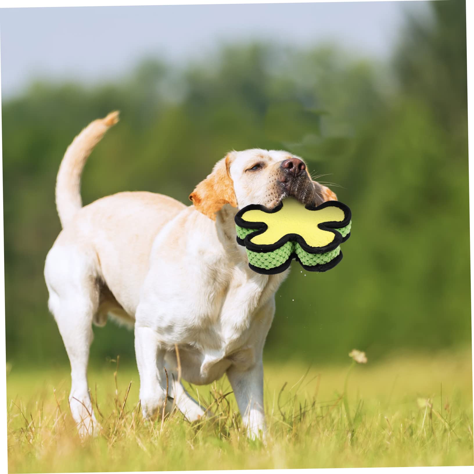 SUPVOX 3piezas Juguete De Molar para Perros Pelota De Sonido Interactiva para Cachorros para Jugar Casa y Mantener La Salud