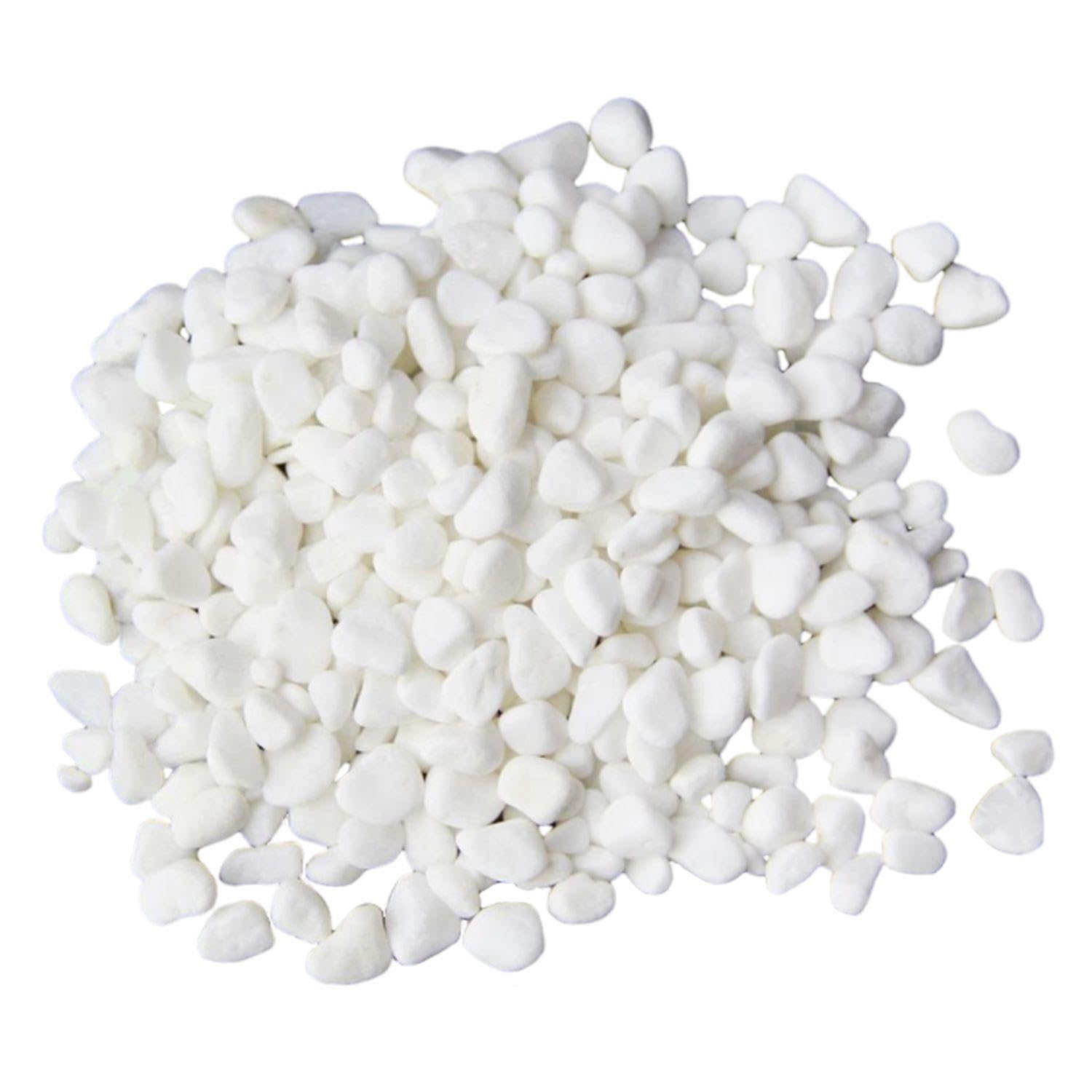 2 Confezioni Di Pietre Decorative Per Vasi, Pietre Decorative Bianche, Pietre Decorative Bianche Per Paesaggi, Per Riempire Decorazioni Di Vasi, Adatte Per Acquari, Piante In Vaso, Vasi (160G)
