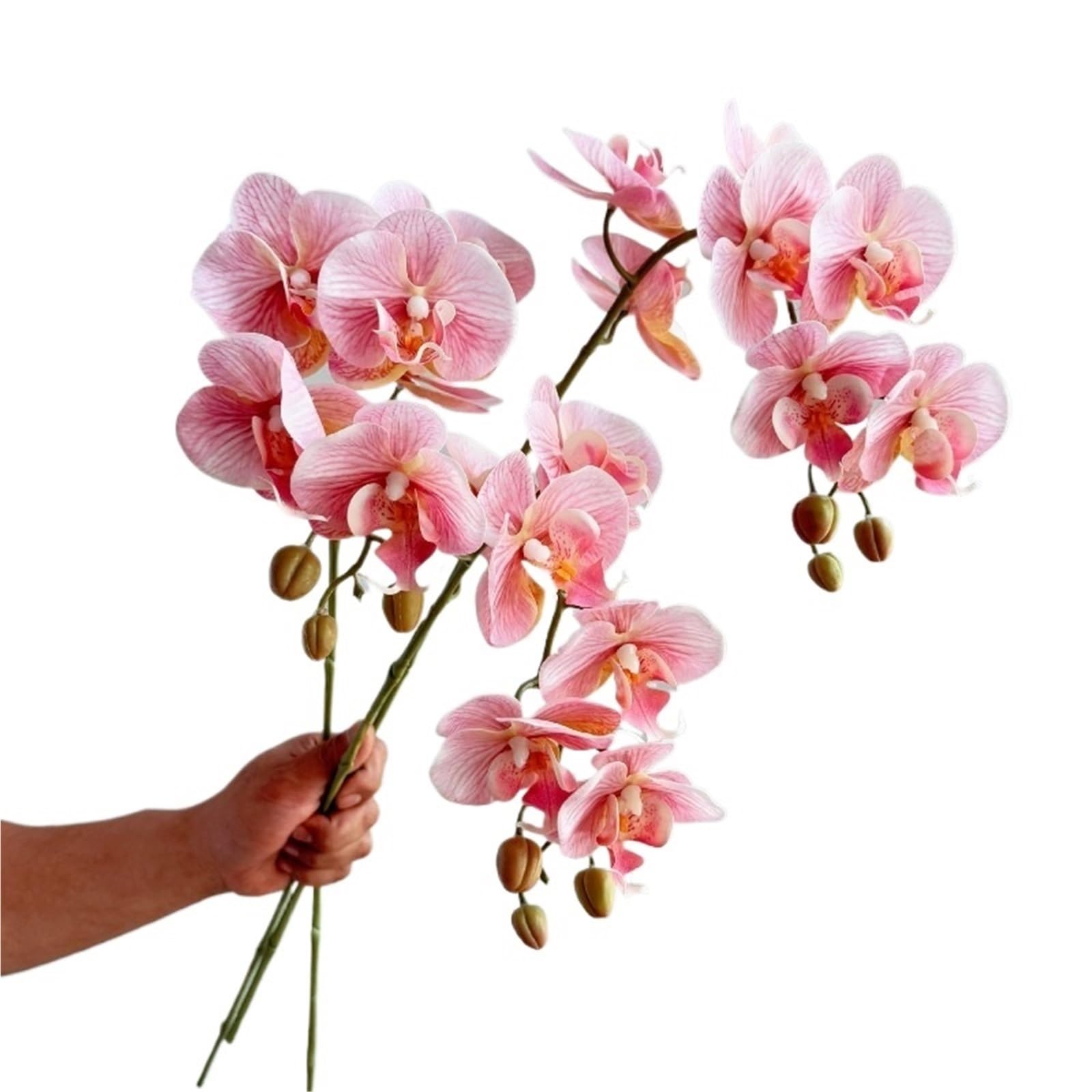 Orchidée papillon artificielle Fleurs d'orchidées papillon en latex