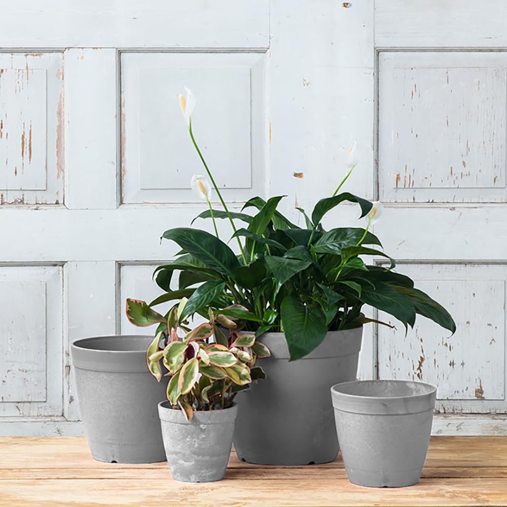 Novelty Artstone Round Dolce Planter