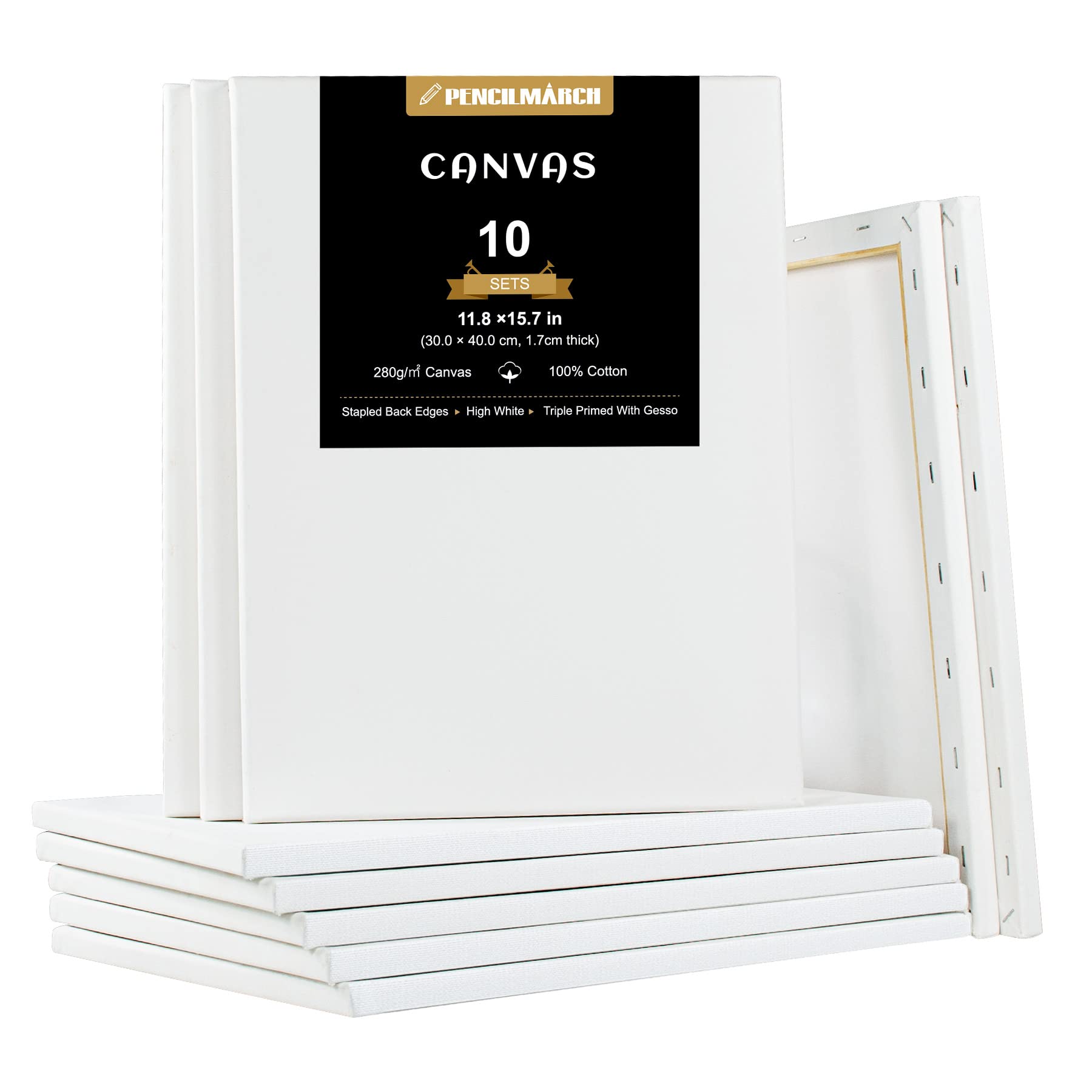 Blank Canvas for Painting 10pcs 11.8x15.7 inches Artist Canvases Frame Board Panels, 100% Cotton Acid Free Triple Primed Medium Grain Professional Artist Canvases for Watercolour Oil Acrylic Painting