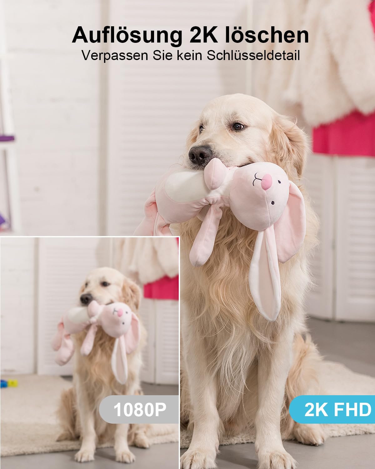 GENBOLT 2K WLAN-Überwachungskamera für den Innenbereich, IP-Haustierkamera