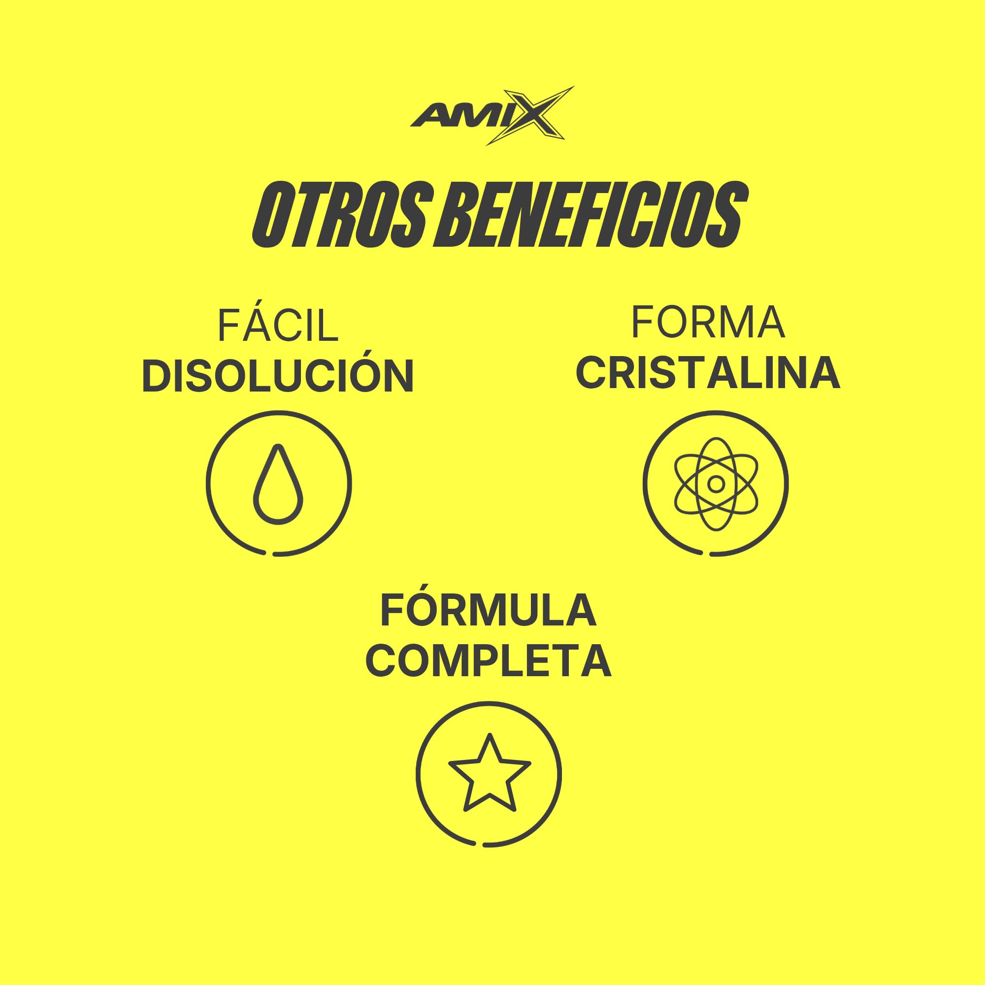 AMIX - Aminoácido en Polvo Muscle Amino Power - Suplemento Alimenticio que Aumenta la Fuerza y la Resistencia Muscular - Sabor Frutas del Bosque - 344 g
