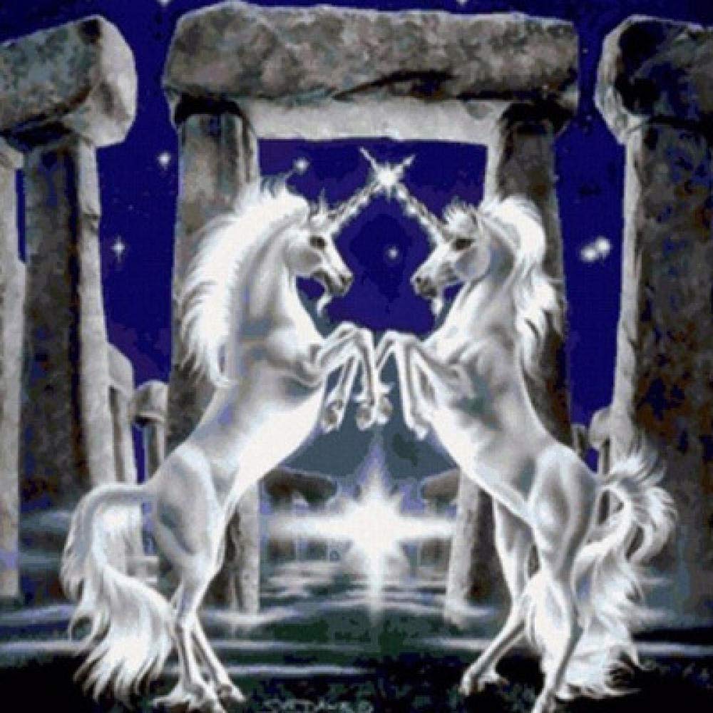 Kit peinture diamant 5D licorne idée cadeau loisirs créatifs adultes