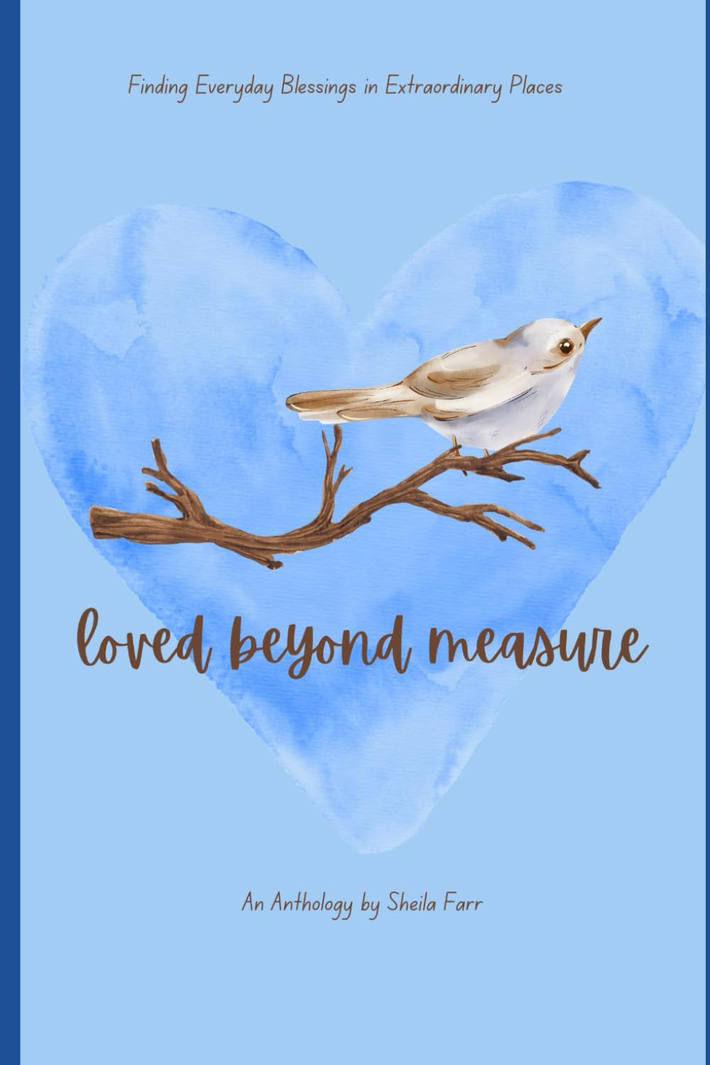 Loved Beyond Measure: Finding Everyday Blessings in Extraordinary Places