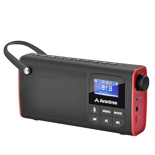 Avantree SP850 Rechargeable Portable FM Radio with Bluetooth Speaker and