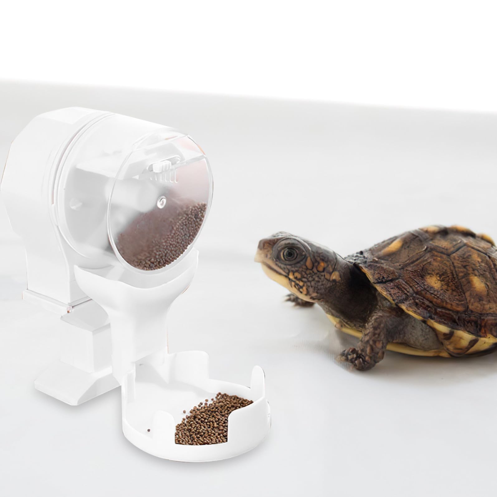 POPETPOP Mangiatoia Automatica per Tartarughe 100ml in Plastica Bianca