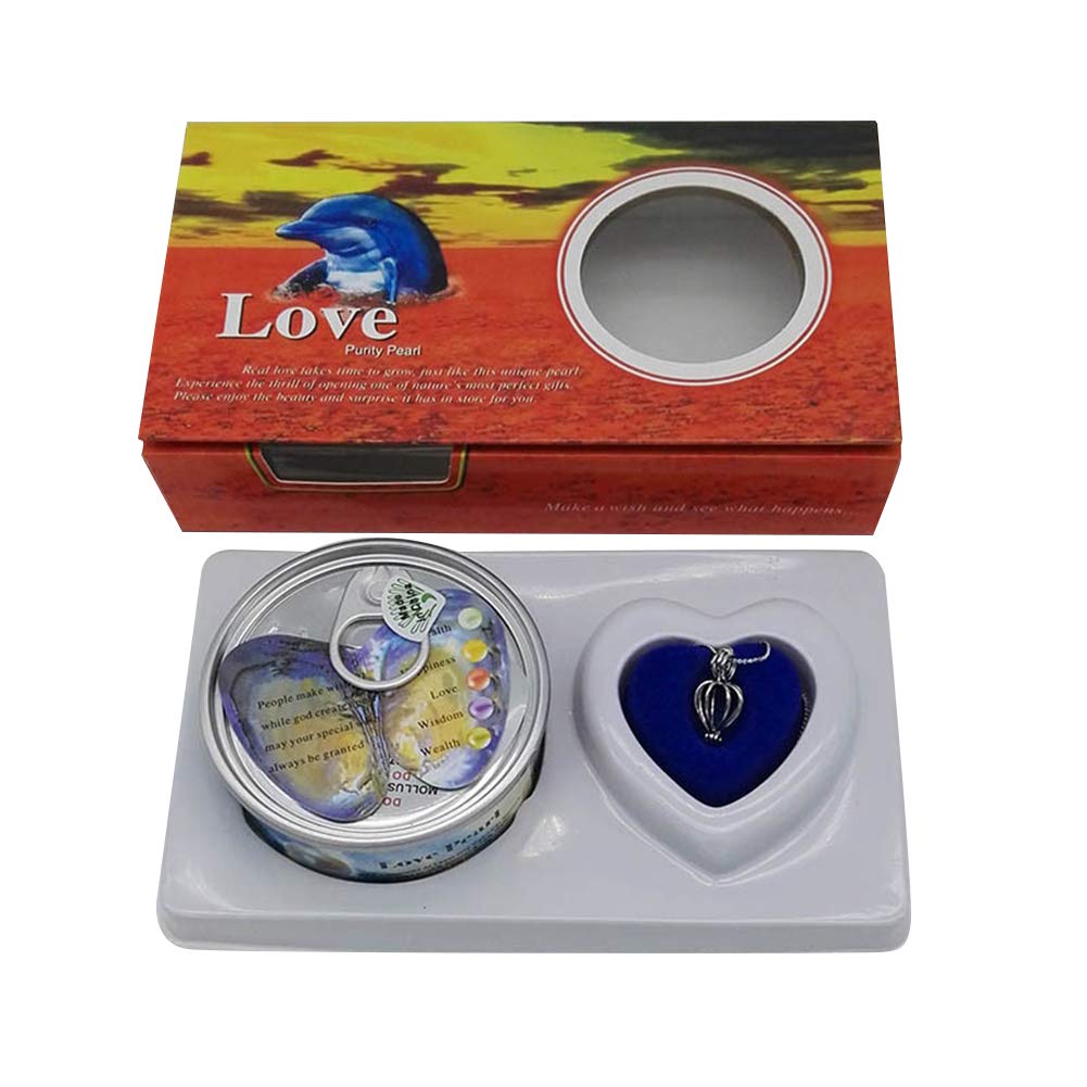 Love Wish DIY Creative Necklace Jewelry Gift Set with Pendant - Fashion Creations Kit with Durable Pearl in Oyster for Women & Girls