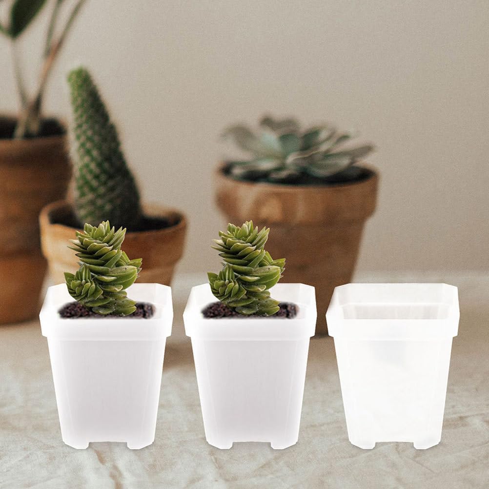 BESPORTBLE 50pcs Small Plant Pots: Transparent Square Nursery Pots for Succulents - Plastic Planter Indoor Gardening and Home Decoration