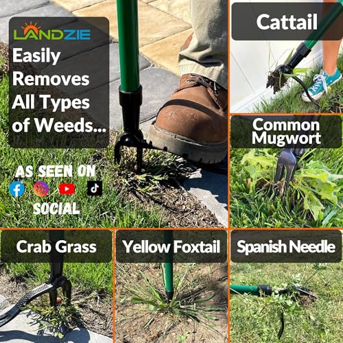 Image of Landzie - Weed Puller Tool 55 inch, Stand Up Weeder with Long Handle