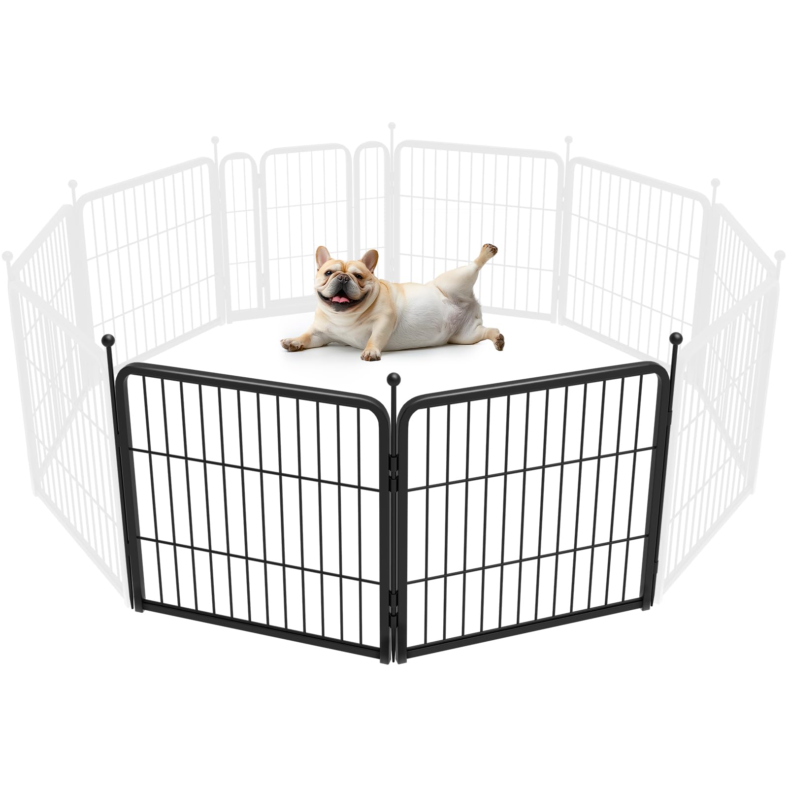 FXW Rollick Unleashed Dog Playpen for Indoor, Yard, RV Camping, 24 inch 2 Panels for Small and Puppy Dogs, Black│Patented