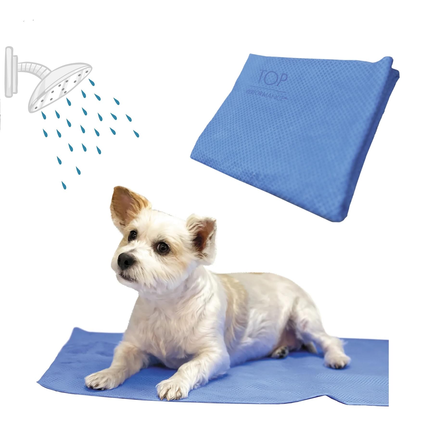 High Absorbancy Dog Cooling and Drying Towel Ionized Carbon Infused Choose Quantity (3 Towels)