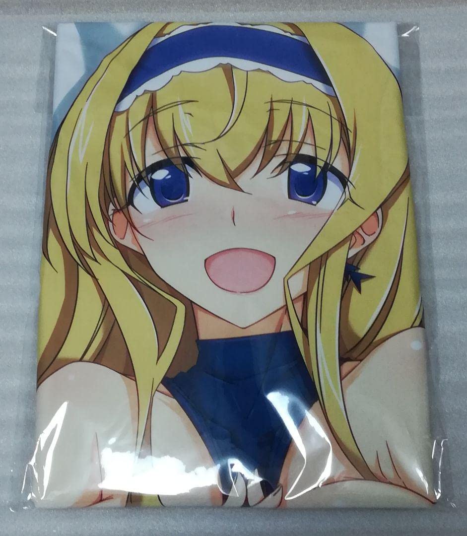 富士浅間堂東方にとり抱き枕カバー 富士浅間堂東方にとり抱き枕カバー