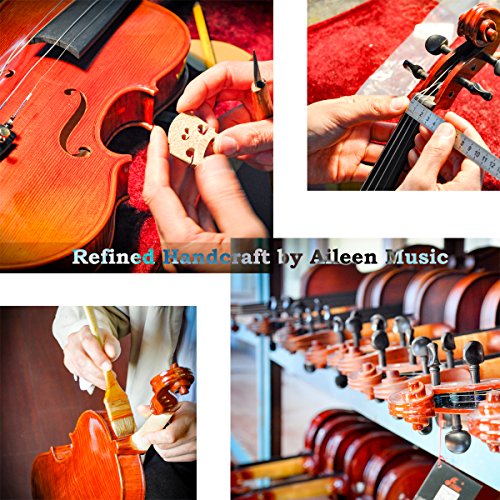 Aileen Solidwood Ebony Kids Students Beginners Violin Rental Shop Preference Outfit with Case, Rosin, Premium Strings, Shoulder Rest, Fingerboard Sticker (4/4)